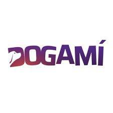 Capital Innovation DOGAMI (KOMODOR STUDIOS) lundi 12 décembre 2022 Capital Innovation DOGAMI (KOMODOR STUDIOS) lundi 12 décembre 2022