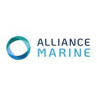 LBO ALLIANCE MARINE mardi 4 octobre 2016 LBO ALLIANCE MARINE mardi 4 octobre 2016