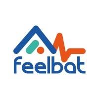Capital Innovation FEELBAT vendredi 29 décembre 2023