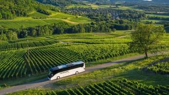 ©Transarc ©Transarc