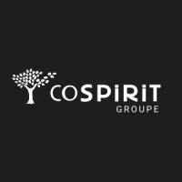 LBO COSPIRIT GROUPE mardi 10 décembre 2024 LBO COSPIRIT GROUPE mardi 10 décembre 2024