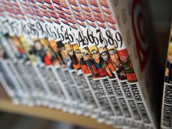 © Adobe Photo Stock