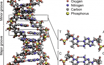 © Biomemory © Biomemory