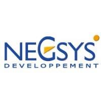 Build-up NEGSYS DEVELOPPEMENT lundi 20 mars 2023 Build-up NEGSYS DEVELOPPEMENT lundi 20 mars 2023