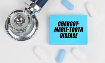 © Adobe Photo Stock 