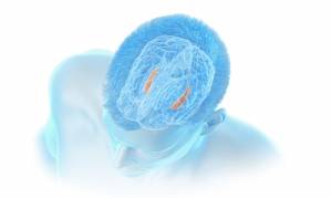© Corlieve Therapeutics © Corlieve Therapeutics