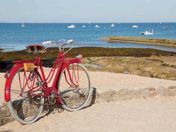 © Adobe Photo Stock