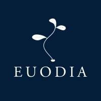 Build-up EUODIA FINANCE vendredi 1 mars 2024 Build-up EUODIA FINANCE vendredi 1 mars 2024
