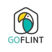 Capital Innovation GOFLINT vendredi 19 janvier 2024 Capital Innovation GOFLINT vendredi 19 janvier 2024
