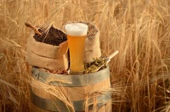 © La Malterie du Château