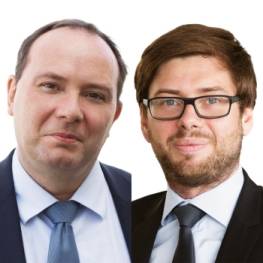 Philippe Pescayre et Julien Lebel, Altaïr Avocats
