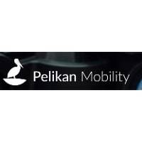 Capital Innovation PELIKAN MOBILITY mercredi 31 janvier 2024 Capital Innovation PELIKAN MOBILITY mercredi 31 janvier 2024