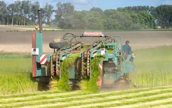 © Adobe Photo Stock