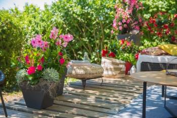 ¨© Diamantina / D.H.M. Innovation