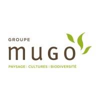 Build-up MUGO mardi 11 février 2025 Build-up MUGO mardi 11 février 2025