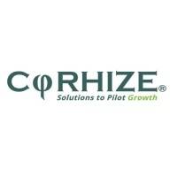 M&A Corporate CORHIZE jeudi 5 décembre 2024 M&A Corporate CORHIZE jeudi 5 décembre 2024