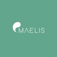 LBO MAELIS mercredi 28 mai 2025 LBO MAELIS mercredi 28 mai 2025