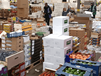 Leofresh source un LBO pour avaler un confrère