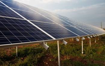 Sunelis puise de l’énergie chez un voisin