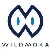 M&A Corporate WILDMOKA mercredi 20 avril 2022 M&A Corporate WILDMOKA mercredi 20 avril 2022