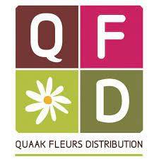 Build-up QUAAK FLEURS DISTRIBUTION jeudi 16 décembre 2021