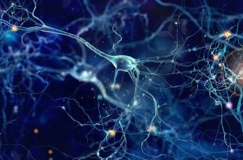 © Adobe Stock © Adobe Stock