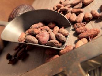 © Saveurs et Nature