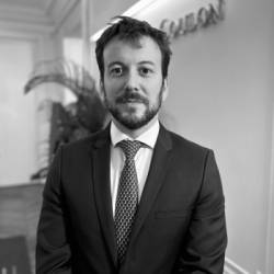 Raphaël Desmazières, Jean Claude Coulon & Associés Raphaël Desmazières, Jean Claude Coulon & Associés