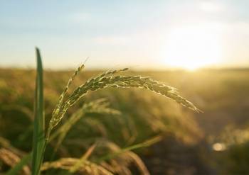 © wirestock sur Freepik © wirestock sur Freepik