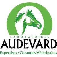 Build-up LABORATOIRES AUDEVARD vendredi 15 octobre 2021 Build-up LABORATOIRES AUDEVARD vendredi 15 octobre 2021