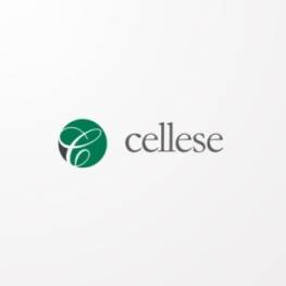 LBO CELLESE (ANTEAGE) mardi 9 avril 2024 LBO CELLESE (ANTEAGE) mardi 9 avril 2024