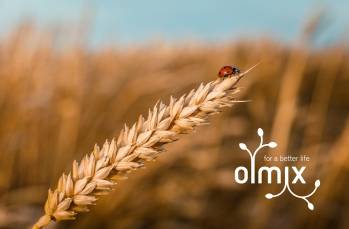 © Olmix © Olmix