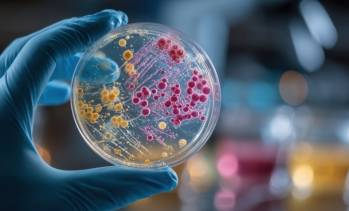 Carso examine une cible en Bretagne
