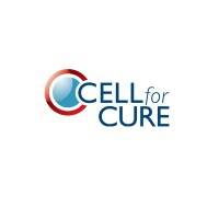 Build-up CELLFORCURE jeudi 20 juillet 2023 Build-up CELLFORCURE jeudi 20 juillet 2023