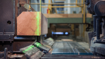 © Scieries de Corgnac, 2025. © Scieries de Corgnac, 2025.