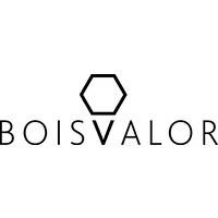 Build-up BOIS VALOR mardi 7 février 2023 Build-up BOIS VALOR mardi 7 février 2023