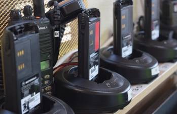 © Paolo Ghedini de Pixabay © Paolo Ghedini de Pixabay