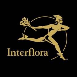 LBO INTERFLORA (MYFLOWER) mercredi 23 décembre 2020 LBO INTERFLORA (MYFLOWER) mercredi 23 décembre 2020