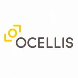 LBO OCELLIS mercredi 28 février 2024 LBO OCELLIS mercredi 28 février 2024