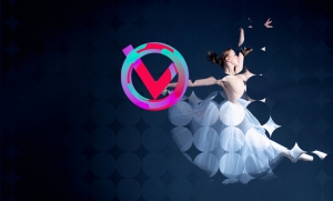 © Velvet Consulting