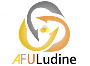 Capital Innovation AFULUDINE lundi 25 mars 2019