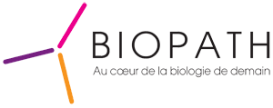 Build-up BIOPATH lundi 12 novembre 2018 Build-up BIOPATH lundi 12 novembre 2018