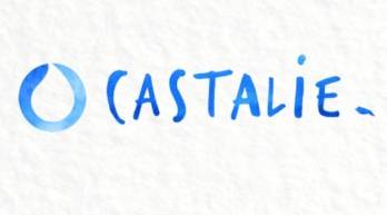 Capital Innovation CASTALIE mardi 28 avril 2020 Capital Innovation CASTALIE mardi 28 avril 2020