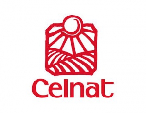 Celnat