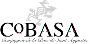 Cobasa Cobasa