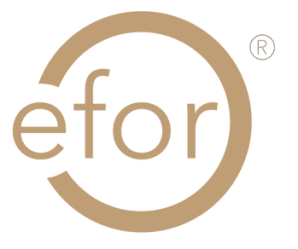 LBO EFOR GROUP vendredi 6 octobre 2023 LBO EFOR GROUP vendredi 6 octobre 2023