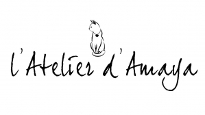 LBO L'ATELIER D'AMAYA mercredi 19 juin 2019