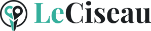 Capital Innovation LECISEAU.FR (VOIR KIUTE) lundi 31 décembre 2018