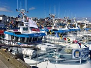 Capital Développement MARC'H DAL lundi 27 mai 2019 Capital Développement MARC'H DAL lundi 27 mai 2019