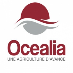 Capital Développement OCEALIA lundi 4 septembre 2017 Capital Développement OCEALIA lundi 4 septembre 2017